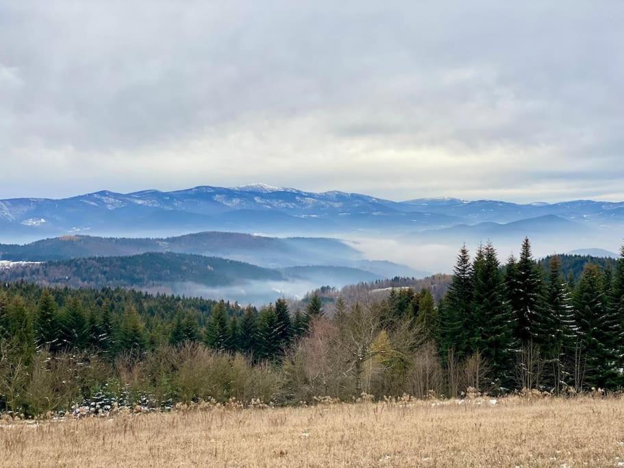 Villa Blizej Nieba Koskowa Gora à Bogdanowka Extérieur photo